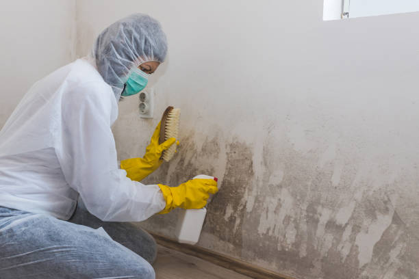 Best Mold Testing  in New Canaan, CT
