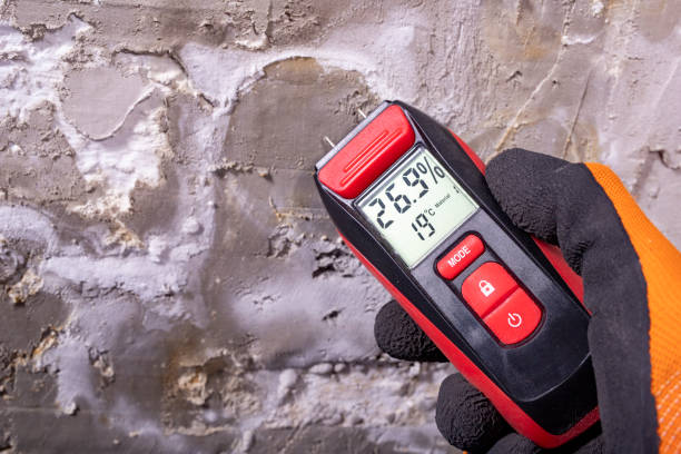 Best Affordable Mold Removal  in New Canaan, CT