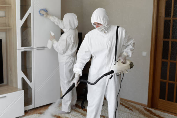 Mold Testing and Removal in New Canaan, CT