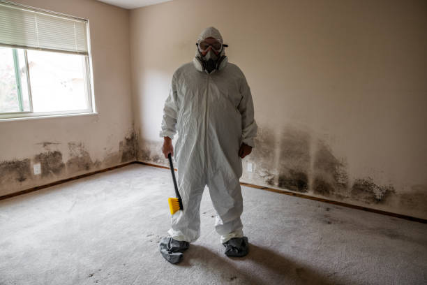 Best Mold Testing and Removal  in New Canaan, CT